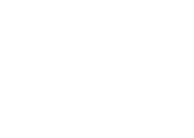 Logo der Dresdner Eislöwen